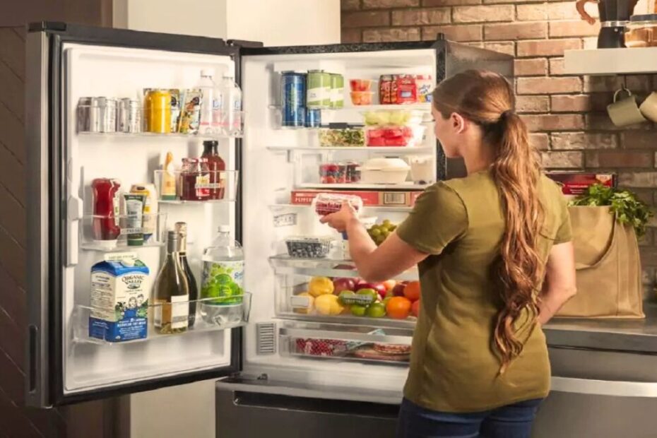 Como Escolher a Geladeira Perfeita para Sua Casa
